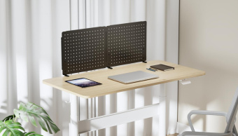 Органайзер Cactus CS-PEGB-BK черный от магазина РЭССИ