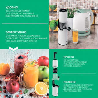 Соковыжималка шнековая Scarlett DailyPress SC-JE50S59 130Вт рез.сок.:600мл. белый от магазина РЭССИ