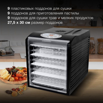 Сушка для фруктов и овощей Hyundai HYFD-1802 27под. 700Вт черный от магазина РЭССИ