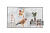 Панель LG 55" 55EW5P-M серебристый OLED LED 1ms 16:9 HDMI матовая 1100:1 400cd 178гр/178гр 1920x1080 DP FHD USB 13.9кг от магазина РЭССИ