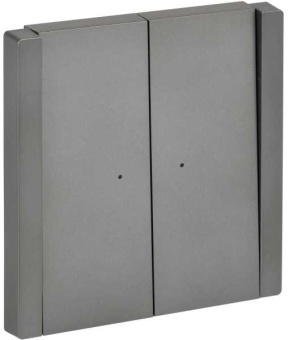 FORTE&PIANO Выключатель 2-клавишный проходной с индикацией 10А FP508 сталь от магазина РЭССИ