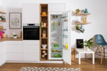 Холодильник Gorenje RI4182E1 1-нокамерн. белый мат. от магазина РЭССИ