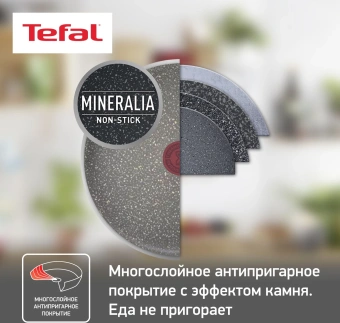 Сковорода блинная Tefal Natural Cook 4213522 круглая 22см ручка несъемная (без крышки) серый (9100053997) от магазина РЭССИ