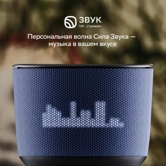 Умная колонка Sber Boom Home SBDV-00171G Салют серый 8W Mono BT/Wi-Fi (без.бат) от магазина РЭССИ