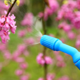 Опрыскиватель Deko DKSP06 наплеч. 5л зеленый/голубой (065-0938) от магазина РЭССИ