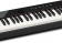 Цифровое фортепиано Casio PRIVIA PX-S1100BK 88клав. черный от магазина РЭССИ