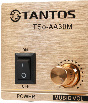 Усилитель Tantos TSo-AA30M выход 100Вт / 30Вт (00-00025068) от магазина РЭССИ