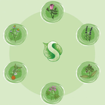 Жидкое мыло Synergetic АРОМАГИЯ 5 л 4623722341327 105504 от магазина РЭССИ