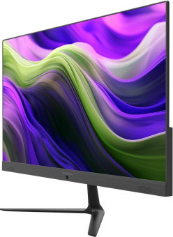 Моноблок Digma Optimum 23.8" Full HD Cel N5100 (1.6) 8Gb SSD256Gb UHDG CR Windows 11 Professional Eth WiFi BT 90W клавиатура мышь Cam черный 1920x1080 от магазина РЭССИ