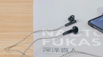 Наушники вкладыши Fiio FF5 1.2м черный проводные в ушной раковине от магазина РЭССИ