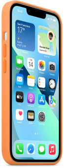 Чехол (клип-кейс) Apple для Apple iPhone 13 Silicone Case with MagSafe весенняя мимоза (MM243ZE/A) от магазина РЭССИ