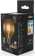 Картинка Лампа светодиодная Gauss Filament G95 6Вт цок.:E27 шар 220B 2700K св.свеч.бел.теп. (упак.:1шт) (105802106) от магазина РЭССИ Лампа светодиодная Gauss Filament G95 6Вт цок.:E27 шар 220B 2700K св.свеч.бел.теп. (упак.:1шт) (105802106) от магазина РЭССИ
