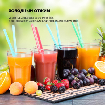 Соковыжималка шнековая Polaris PSJ 0602 600Вт рез.сок.:1000мл. графит от магазина РЭССИ