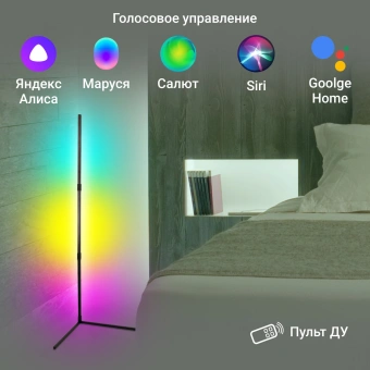 Умный светильник Digma FloorLight FL11 напол. черный (FL11) от магазина РЭССИ