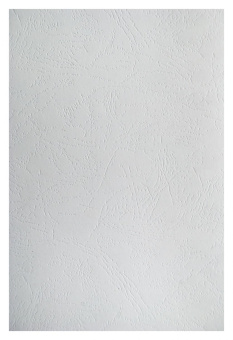 Обложки для переплёта Silwerhof A4 230г/м2 белый (100шт) (1449325) от магазина РЭССИ