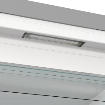 Морозильная камера Gorenje FN619EAXL6 нержавеющая сталь от магазина РЭССИ