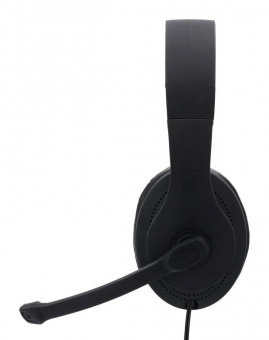 Наушники с микрофоном Hama HS-P200 черный 2м мониторные оголовье (00139923) от магазина РЭССИ