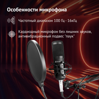 Микрофон проводной Оклик SM-600G 2.5м черный от магазина РЭССИ