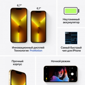 Смартфон Apple A2484 iPhone 13 Pro Max 128Gb 6Gb золотой моноблок 3G 4G 1Sim 6.7" 1284x2778 iOS 15 12Mpix 802.11 a/b/g/n/ac/ax NFC GPS GSM900/1800 GSM1900 TouchSc Protect от магазина РЭССИ