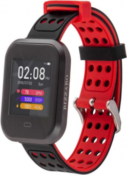 Смарт-часы Rekam Bizzaro F630 1.3" OLED корп.черный/серебристый рем.черный разм.брасл.:L (2202000010) от магазина РЭССИ