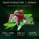 Картинка Планшет Digma Pro Edge G85 (2.0) 8C RAM8Gb ROM128Gb 11" In-Cell 1920x1200 4G 2Sim Android 14 серый космос 13Mpix 5Mpix BT WiFi microSD 256Gb 7000mAh от магазина РЭССИ Планшет Digma Pro Edge G85 (2.0) 8C RAM8Gb ROM128Gb 11" In-Cell 1920x1200 4G 2Sim Android 14 серый космос 13Mpix 5Mpix BT WiFi microSD 256Gb 7000mAh от магазина РЭССИ
