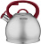 Чайник металлический Rondell Eletto RDS-1825 3л. стальной от магазина РЭССИ