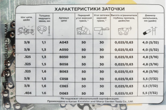 Цепь для цепных пил Champion A050-VS-50E 3/8" 50звеньев от магазина РЭССИ