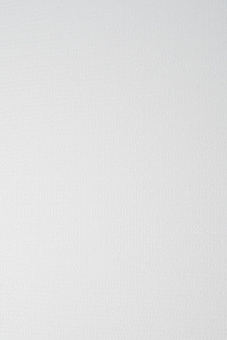 Холодильник Weissgauff WSBS 500 NFW Inverter белое стекло (двухкамерный) от магазина РЭССИ