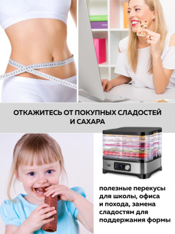 Сушка для фруктов и овощей GFGril GFD-001 6под. 500Вт серебристый от магазина РЭССИ