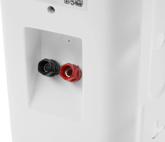 Громкоговоритель Tantos TSo-SW30k настенный 30Вт белый (00-00006480) от магазина РЭССИ