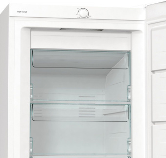 Морозильная камера Gorenje FN619FEW5 белый от магазина РЭССИ