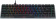 Клавиатура Acer OKW302 механическая серебристый USB for gamer LED (ZL.KBDCC.01C) от магазина РЭССИ