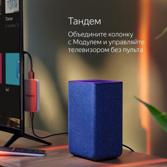 Умная колонка Yandex Станция 2 Алиса песочный 30W 1.0 BT/Wi-Fi 10м (YNDX-00051E) от магазина РЭССИ