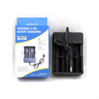 Зарядное устройство от USB для 2х Li-Ion в коробке (ОГОНЬ H-391) от магазина РЭССИ