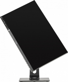 Монитор Iiyama 23.8" ProLite XUB2492HSN-B1 черный IPS LED 16:9 HDMI M/M матовая HAS Piv 250cd 178гр/178гр 1920x1080 DP FHD USB 5.4кг от магазина РЭССИ