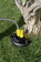 Картинка Триммер электрический Karcher LTR 36-33 Battery Set аккум. разбор.штан. реж.эл.:леска от магазина РЭССИ Триммер электрический Karcher LTR 36-33 Battery Set аккум. разбор.штан. реж.эл.:леска от магазина РЭССИ