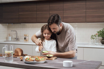 Умная колонка Yandex Станция Мини без часов Алиса серый 10W 1.0 BT 10м (YNDX-00021G) от магазина РЭССИ