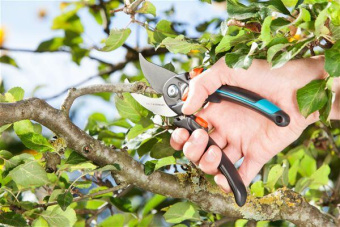 Секатор GARDENA B/S-XL 08905-20.000.00 от магазина РЭССИ