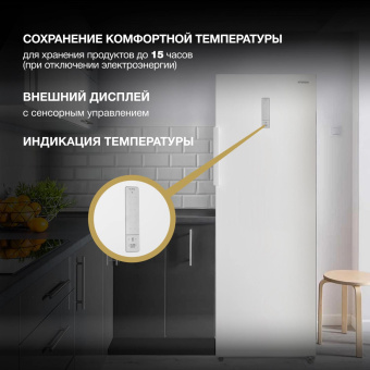 Морозильная камера Hyundai CU2505F белый от магазина РЭССИ