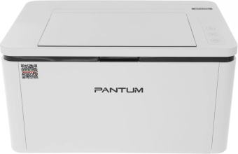 Принтер лазерный Pantum BP2300 A4 белый от магазина РЭССИ