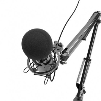 Микрофон проводной Ritmix RDM-180 2.5м черный от магазина РЭССИ