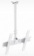Кронштейн для телевизора Holder PR-101-W белый 32"-65" макс.60кг потолочный фиксированный от магазина РЭССИ