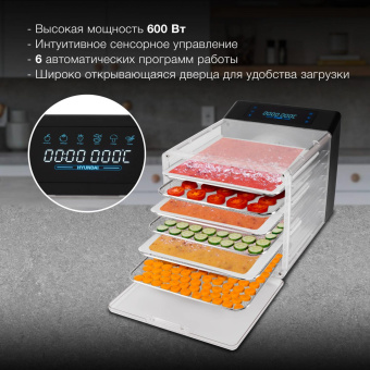 Сушка для фруктов и овощей Hyundai HYFD-8800 12под. 600Вт черный от магазина РЭССИ