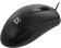 Мышь Defender Trace MB-989 черный оптическая 1000dpi USB 2but (52989) от магазина РЭССИ