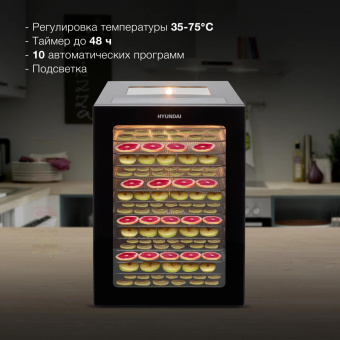 Сушка для фруктов и овощей Hyundai HYFD-8803 28под. 850Вт черный от магазина РЭССИ