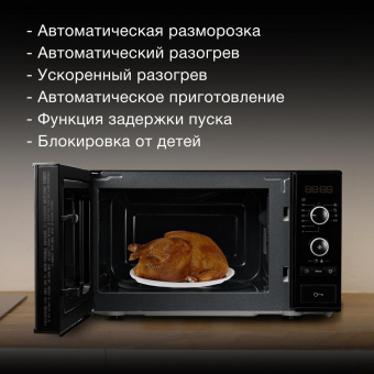 Микроволновая Печь Hyundai HYM-D3032 20л. 700Вт черный от магазина РЭССИ
