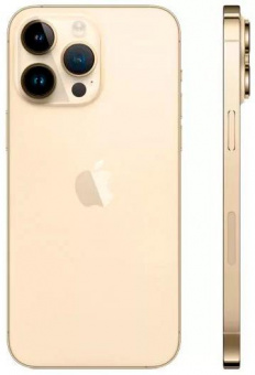 Смартфон Apple A2893 iPhone 14 Pro Max 256Gb 6Gb золотой моноблок 3G 4G 1Sim 6.7" 1290x2796 iOS 16 48Mpix 802.11 a/b/g/n/ac/ax NFC GPS GSM900/1800 GSM1900 TouchSc Protect от магазина РЭССИ