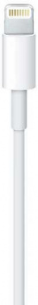 Кабель Apple MXLY2ZM/A USB (m)-Lightning (m) 1м белый от магазина РЭССИ
