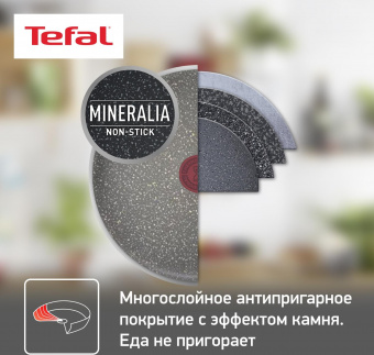 Сковорода Tefal Natural Cook 04211924 круглая 24см ручка несъемная (с крышкой) серый (9100046100) от магазина РЭССИ