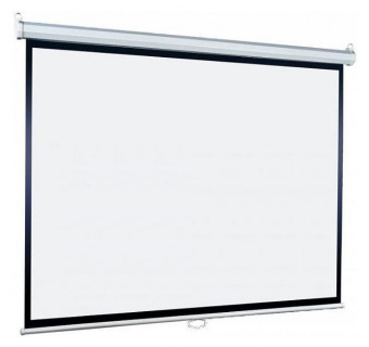 Экран Lumien 220x220см Eco Picture LEP-100110 1:1 настенно-потолочный рулонный от магазина РЭССИ